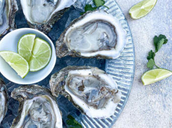 The BEST Seafood Suppers