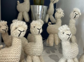 Hand Knitted Alpacas