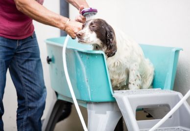 Dog Friendly Facilities at Wooda - Dog Shower