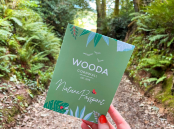 Wooda’s Wondrous Nature Trail